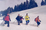 Randonn&eacute;e dans les Pr&eacute;alpes fribourgeoises
